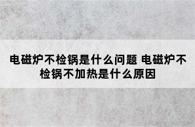 电磁炉不检锅是什么问题 电磁炉不检锅不加热是什么原因